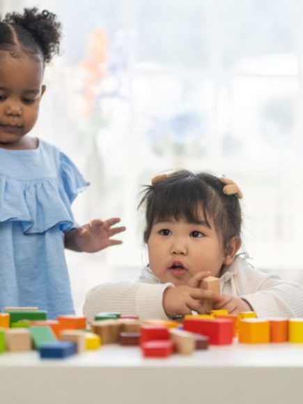 Maestría Internacional en Pedagogía Pikler + Maestría Internacional en Pedagogía Waldorf – Doble Titulación – Diploma Acreditado por Apostilla de la Haya –